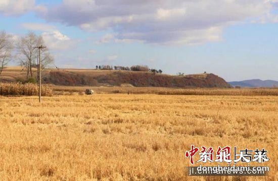 图片关键词 图片关键词