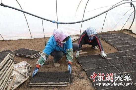 图片关键词 图片关键词