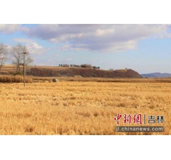 吉林磐石&ldquo;兰家大米&rdquo;：水稻育苗忙 种出&ldquo;新希望&rdquo;