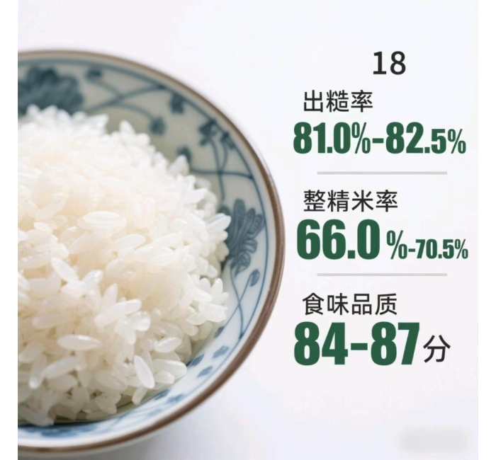 黑龙江五常大米绥粳18介绍
