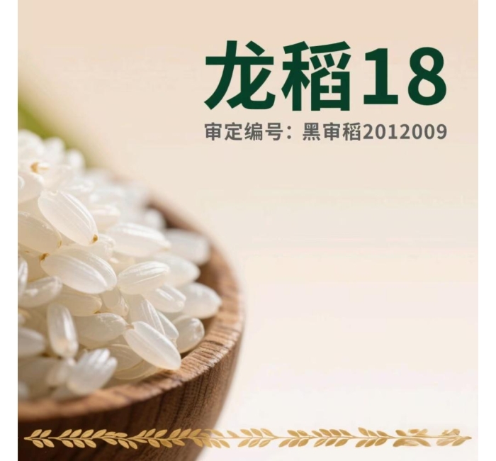 黑龙江五常大米龙稻18的介绍