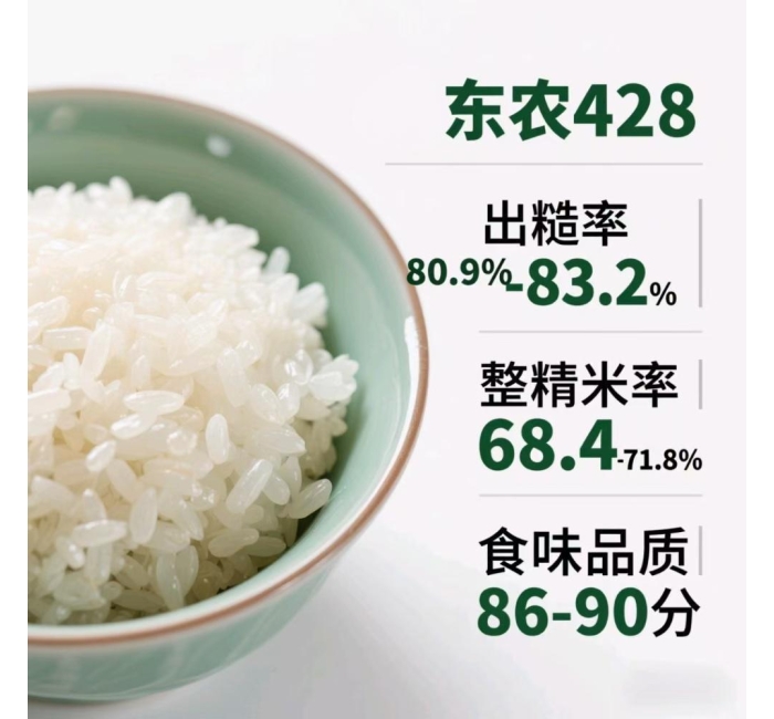 黑龙江五常大米东农428的介绍