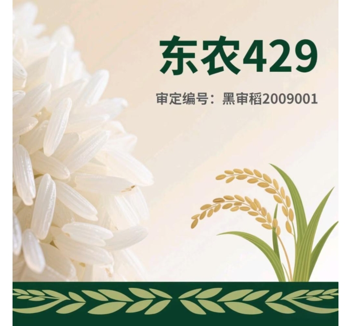 黑龙江五常大米东农429介绍
