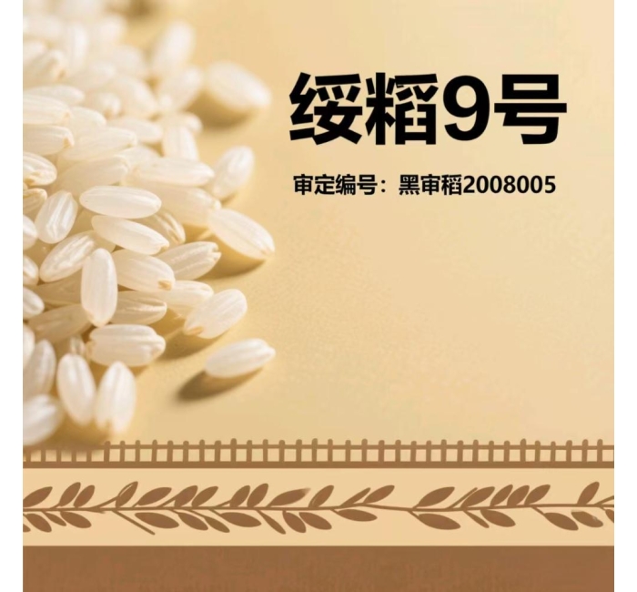 黑龙江五常大米绥粳9号介绍
