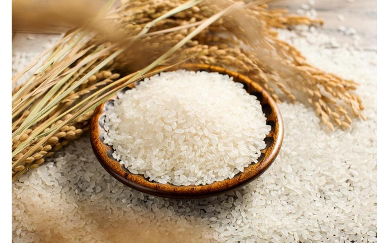 金杯牌东北大米-金颗粒系列