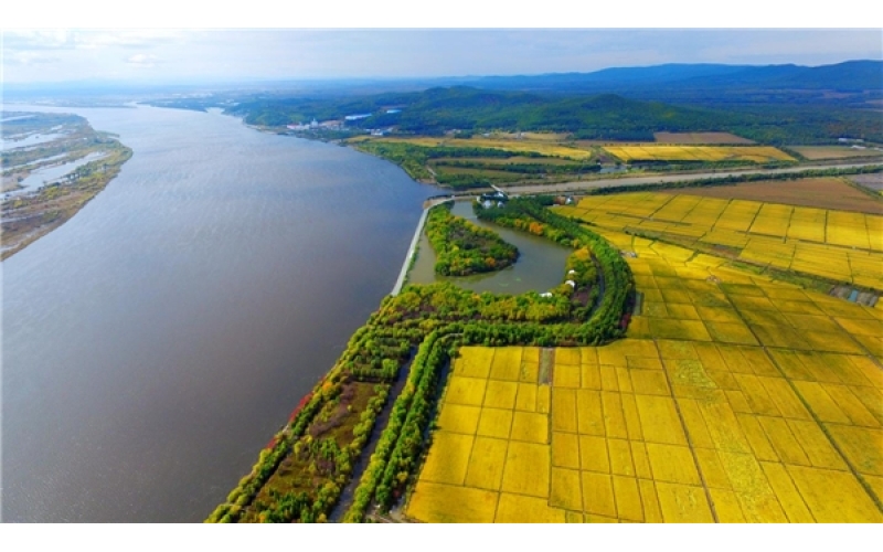 每一顿都不负好“食”光——乌苏里江大米！