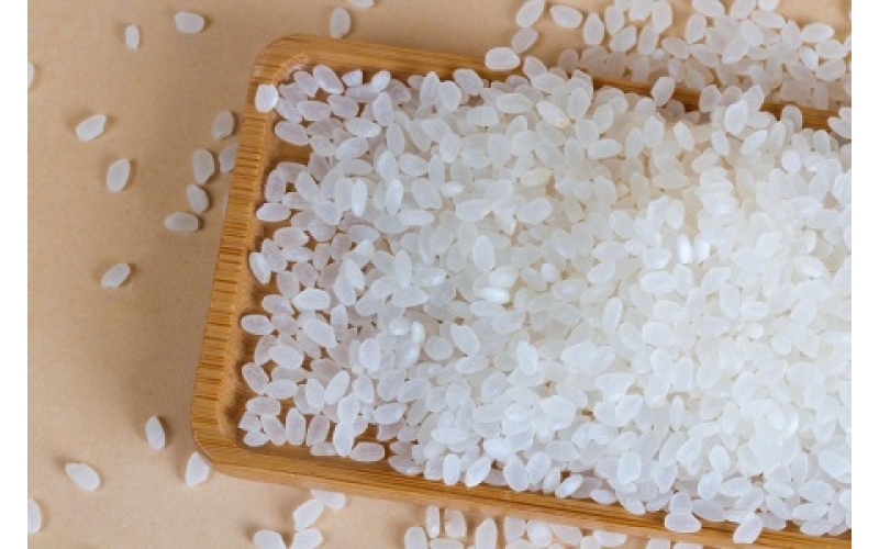 低碳大米提振东南亚农业竞争力