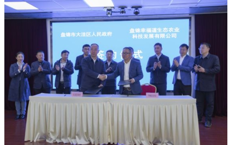 辽宁省盘锦市大洼区发力精准农业 打造大米区域品牌示范基地