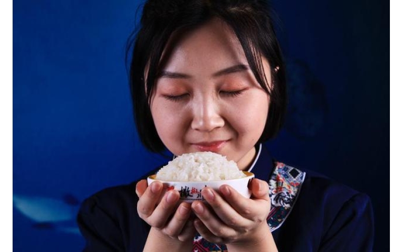 吉林磐石&ldquo;兰家大米&rdquo;：水稻育苗忙 种出&ldquo;新希望&rdquo;