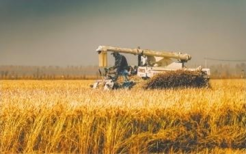 全方位夯实粮食安全根基