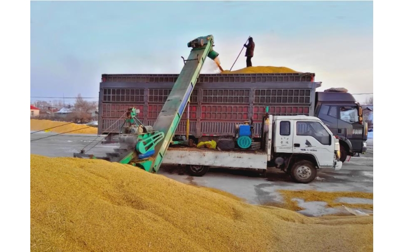 &ldquo;三农&rdquo;成绩单传递中国稳定性和确定性